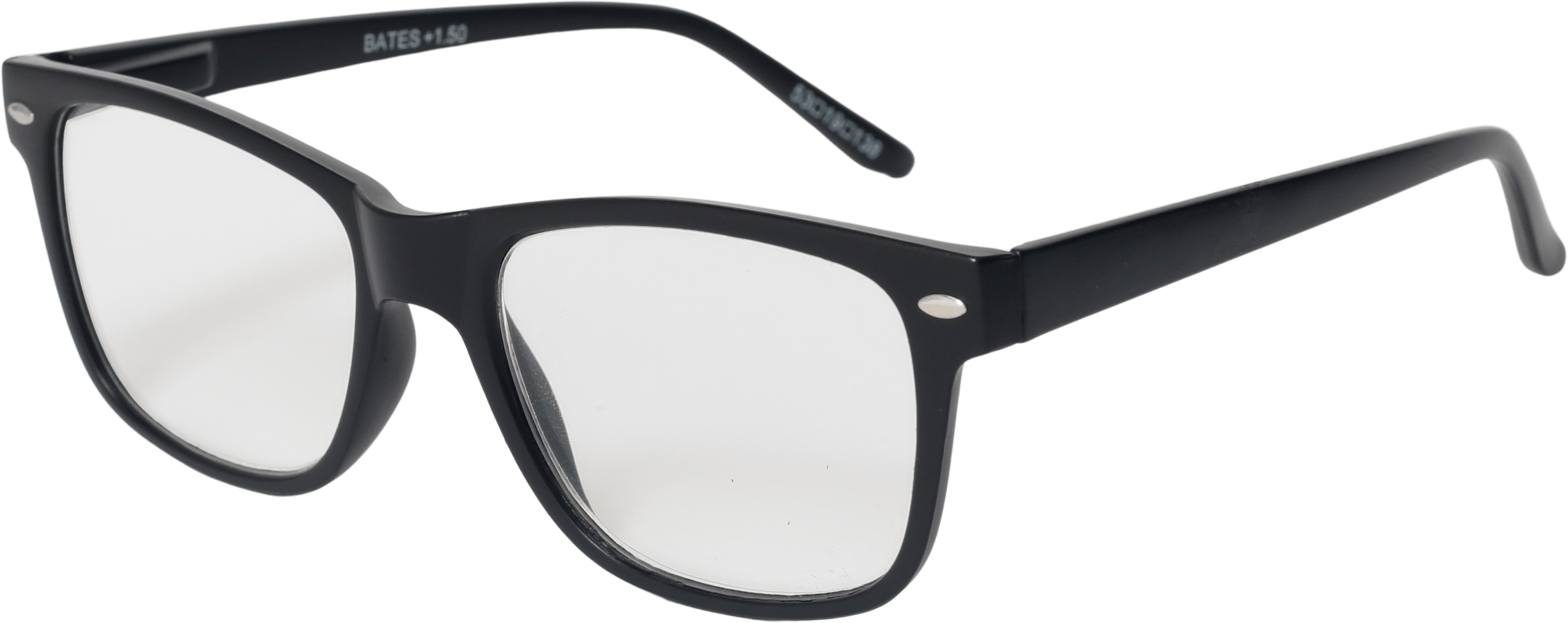 EasiReaderBatesER-699S