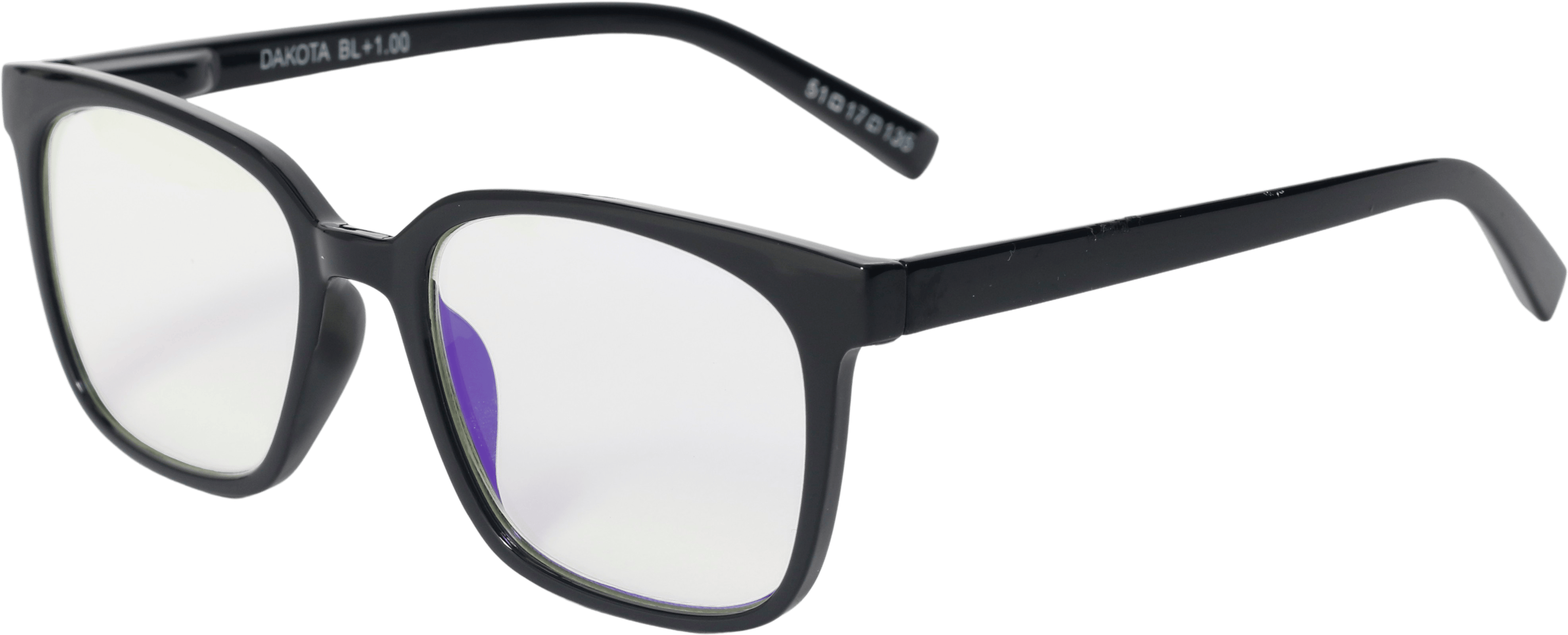 EasiReaderDakota BLER-157BL