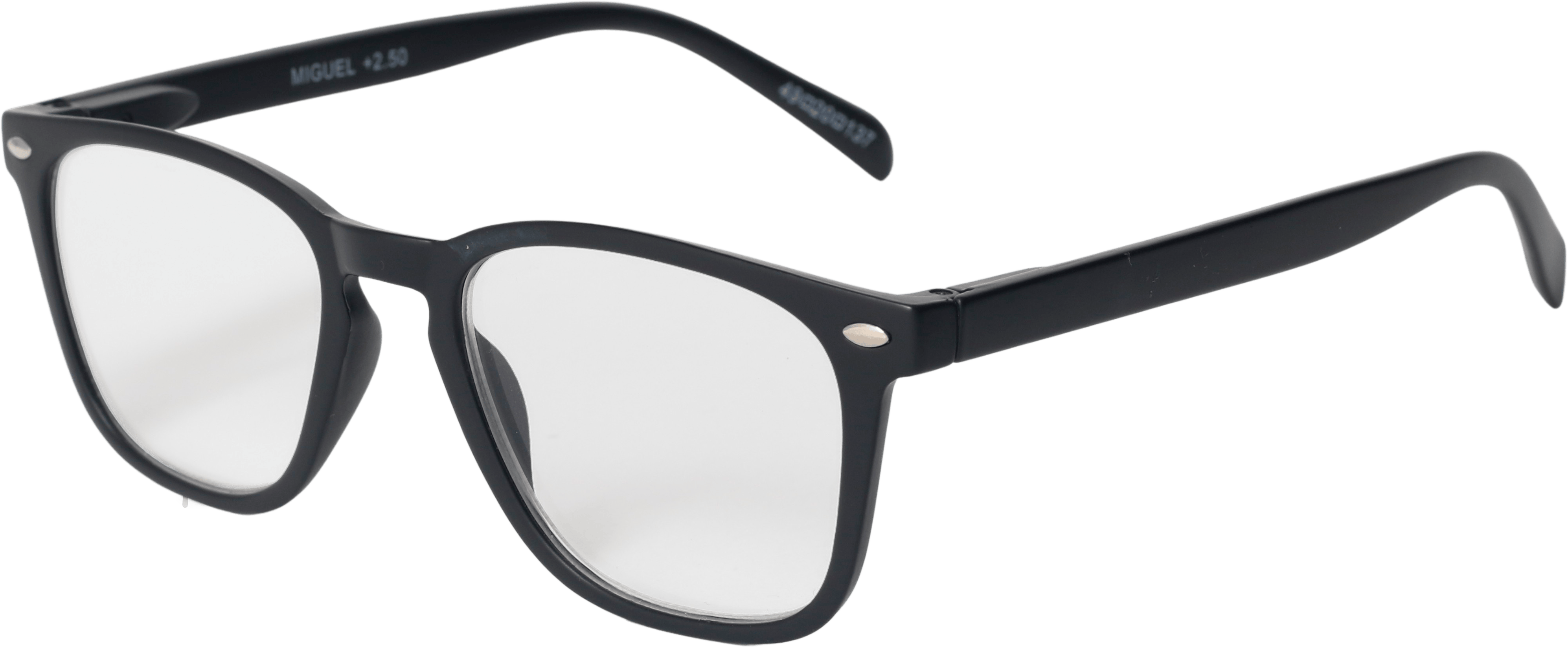 EasiReaderMiguel BLER-635BL