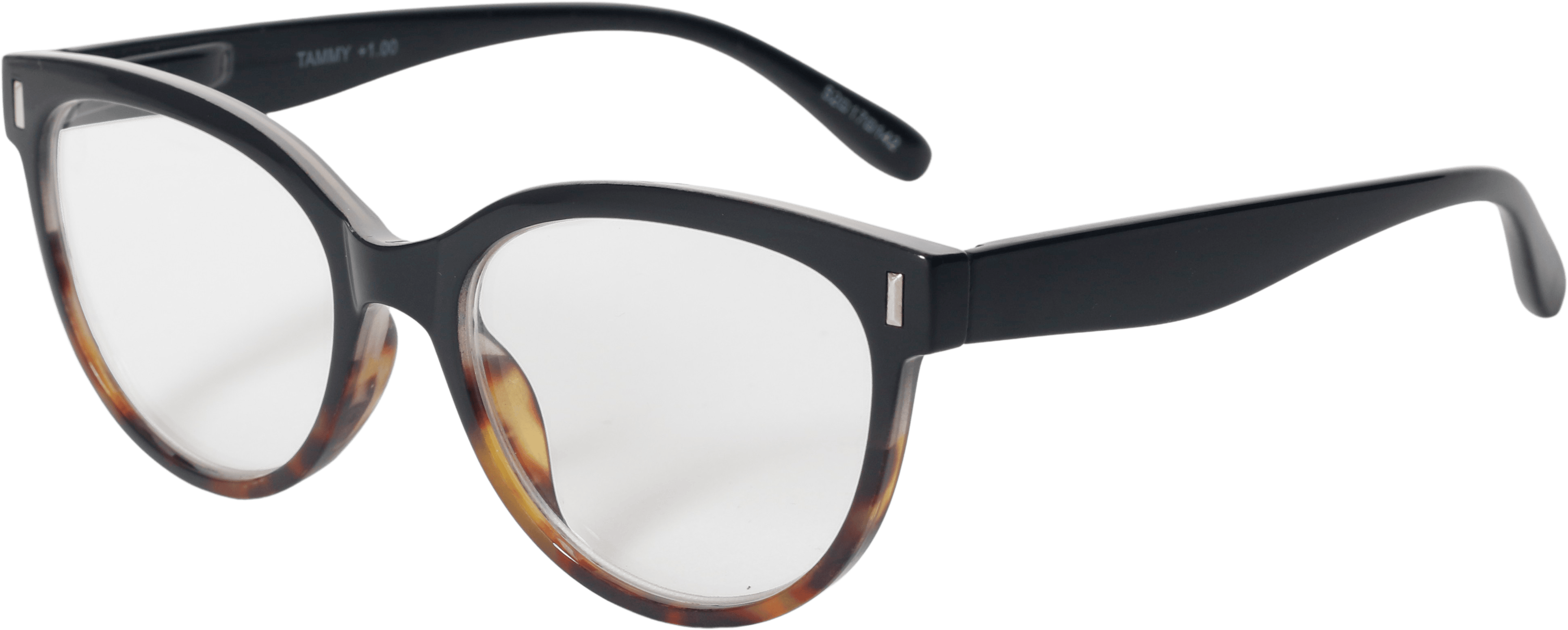 EasiReaderTammyER-220S