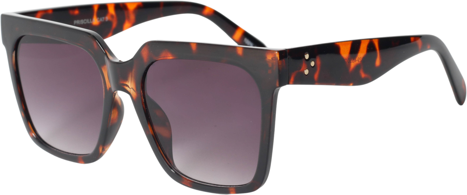OutlookPriscillaO29-455DGS