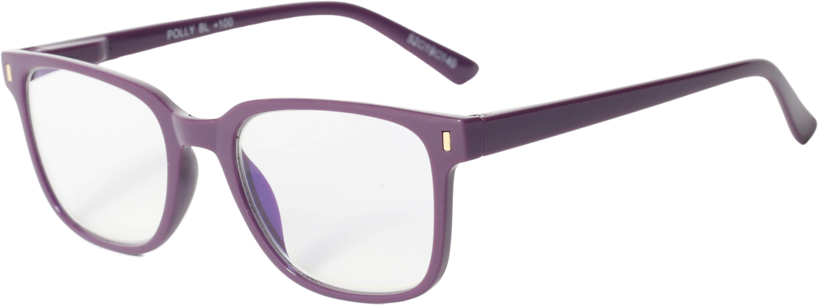 EasiReaderPolly BLER-101BL
