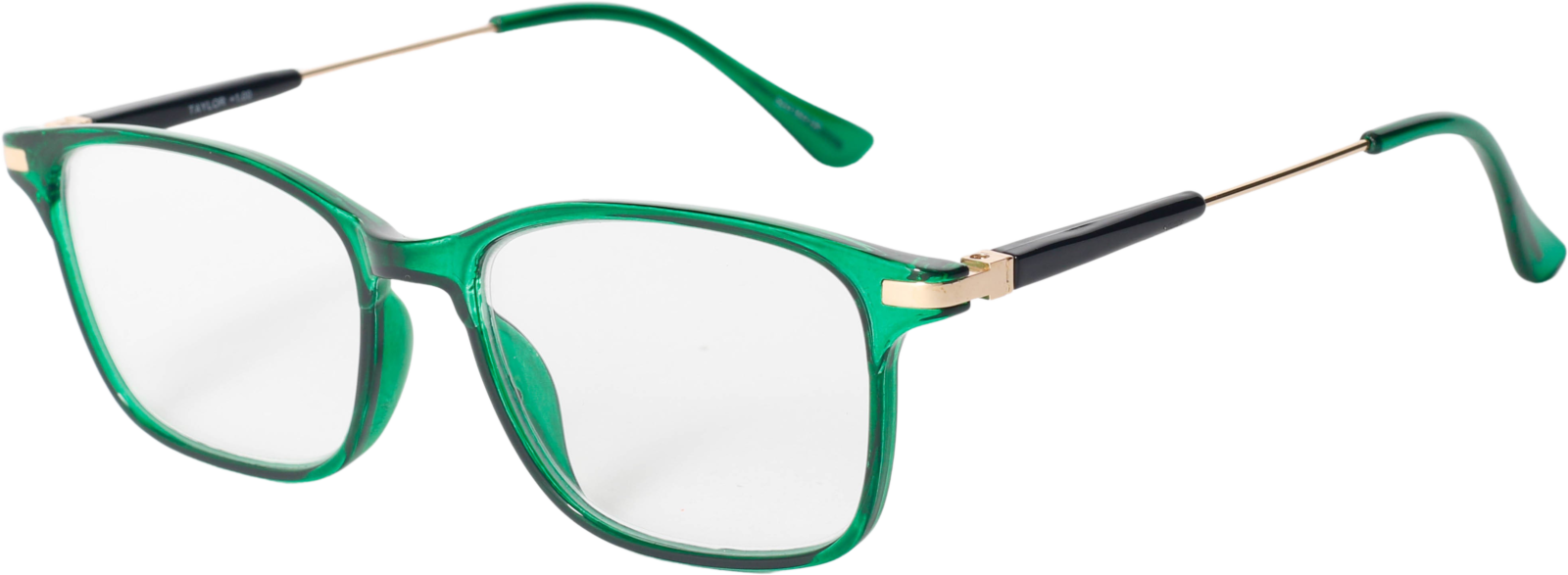 EasiReaderTinaER-193S