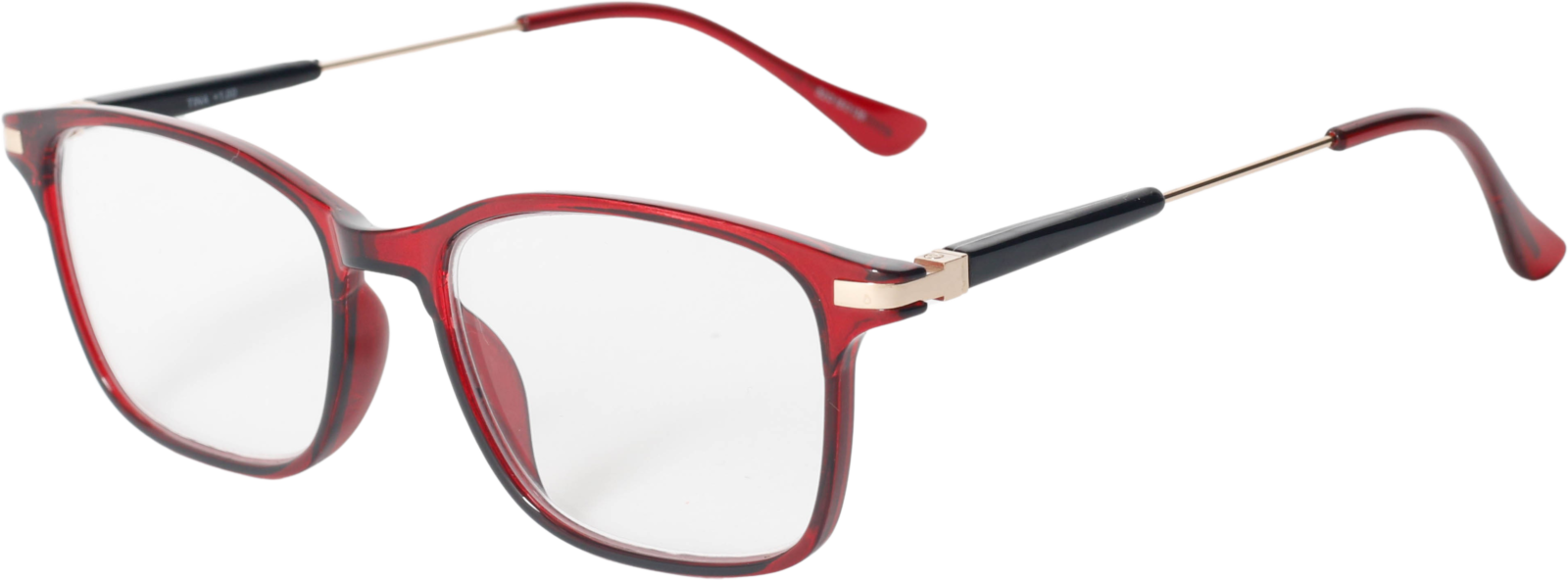 EasiReaderTinaER-191S