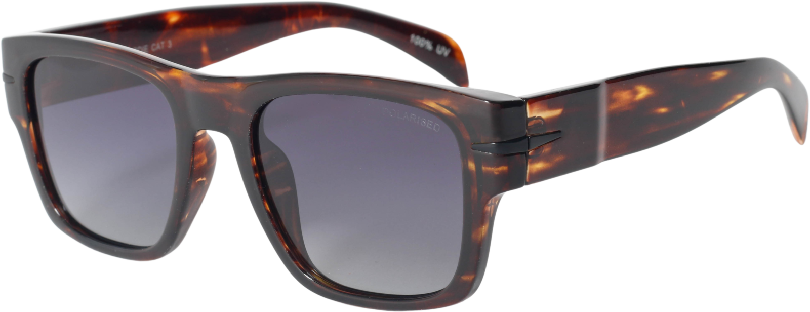 Fred PeepsBrodieP39-682DGSPOL