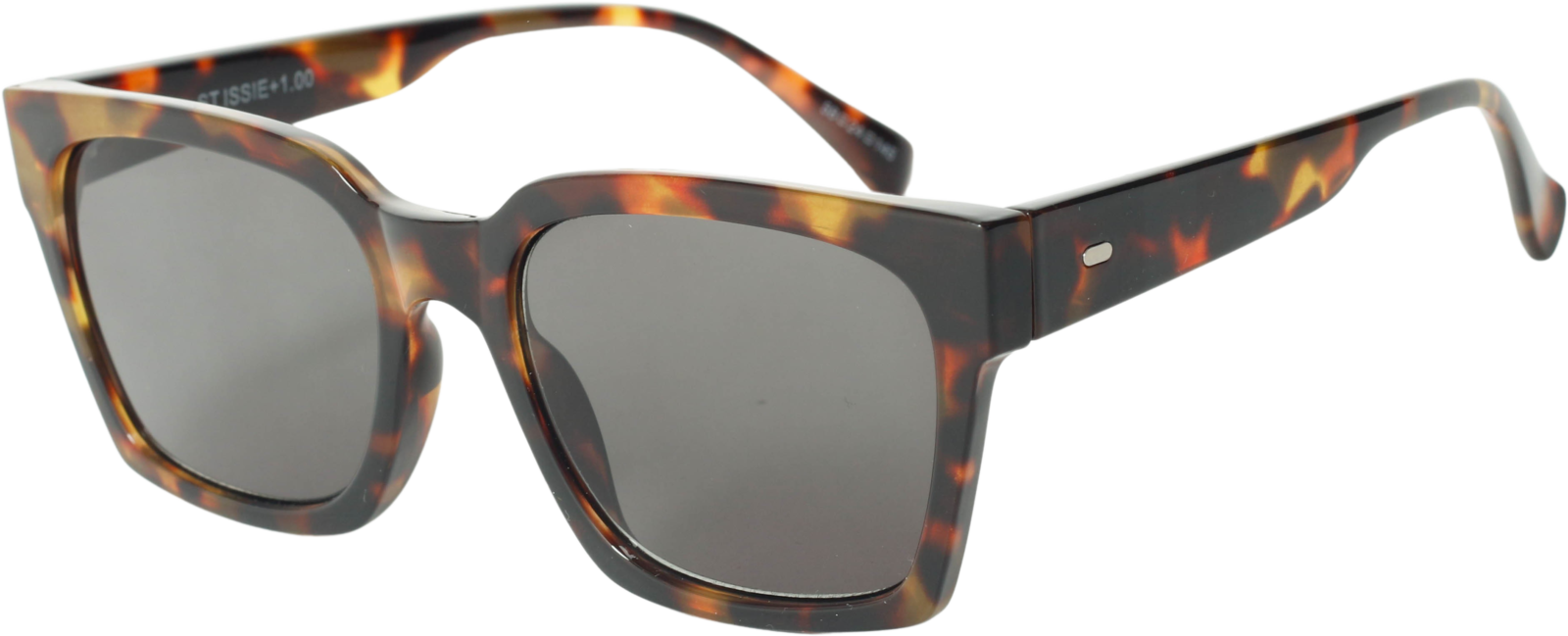 SunReaderSt IssieSR-106S