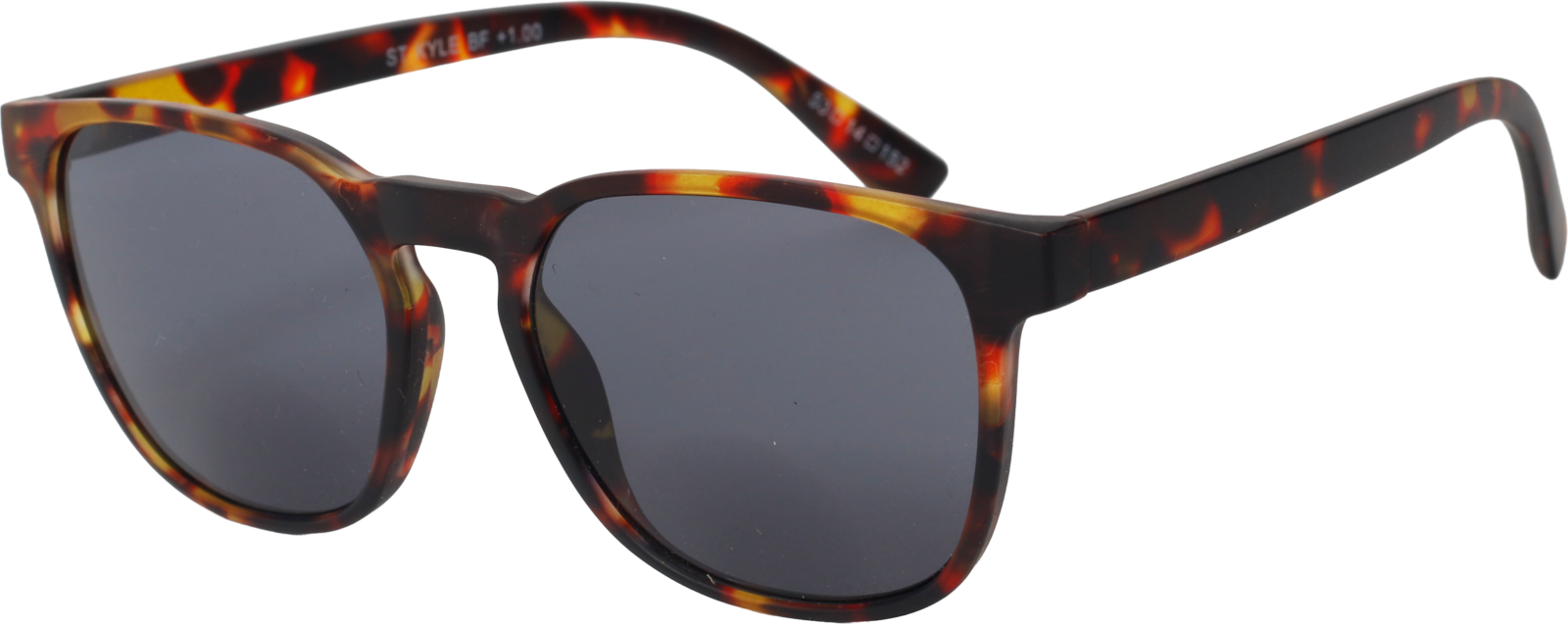 SunReaderSt KyleSR-713B