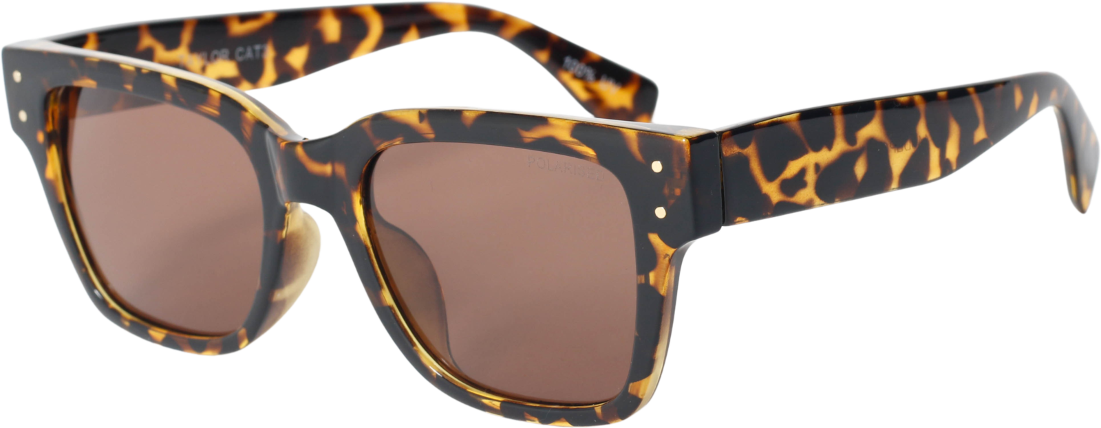 MobyTaylorM3-443DBPOL