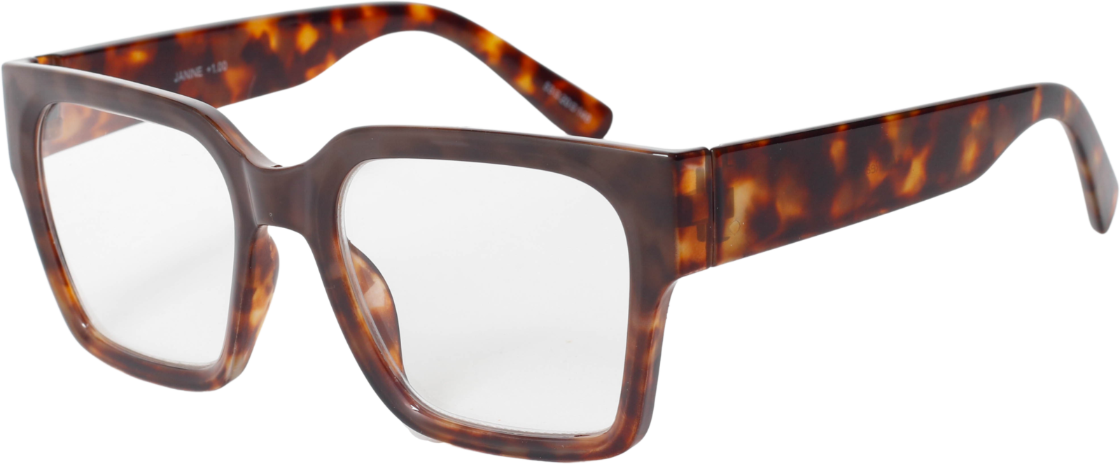 EasiReaderJanineER-107S