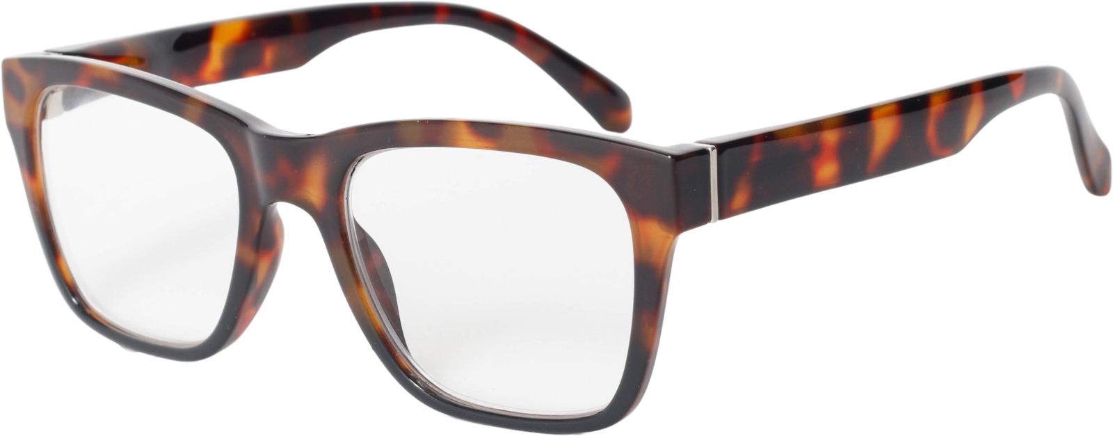 EasiReaderLucyER-113S