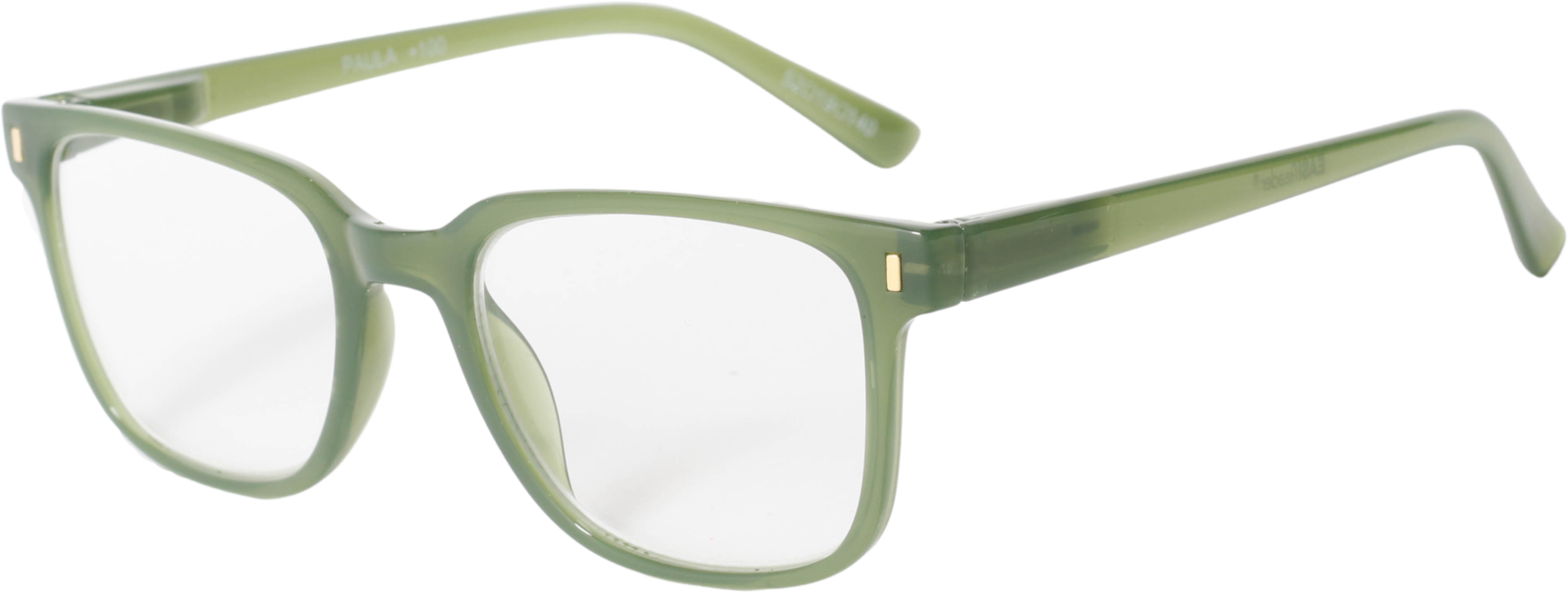 EasiReaderPaulaER-165S