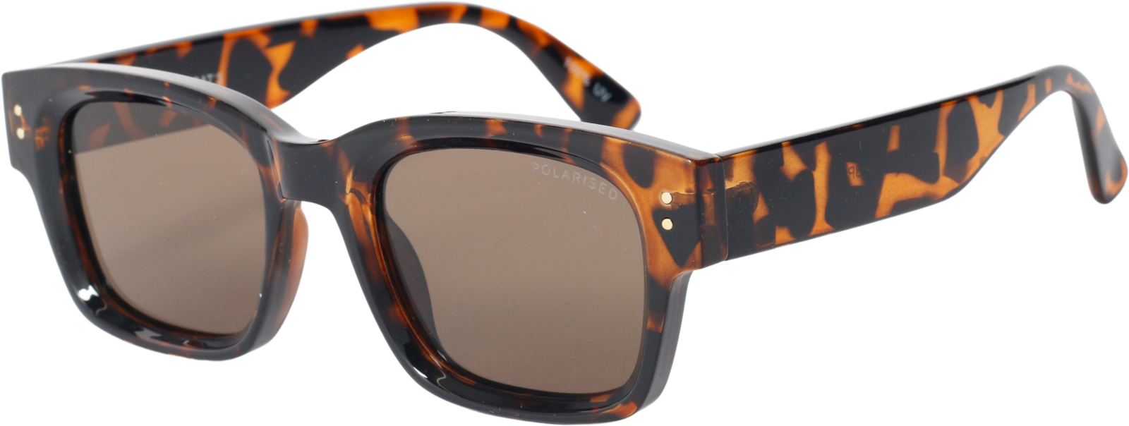 CraveEllenC29-351DBPOL