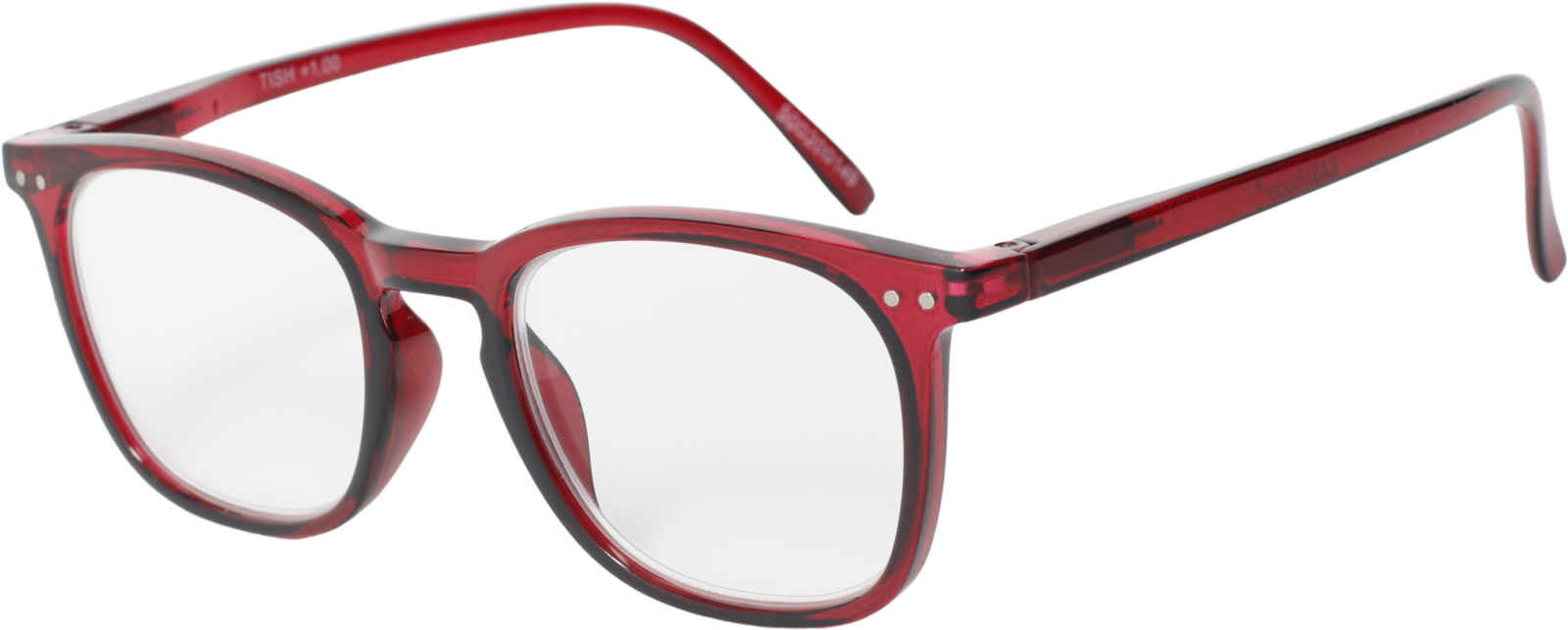 EasiReaderTishER-248S