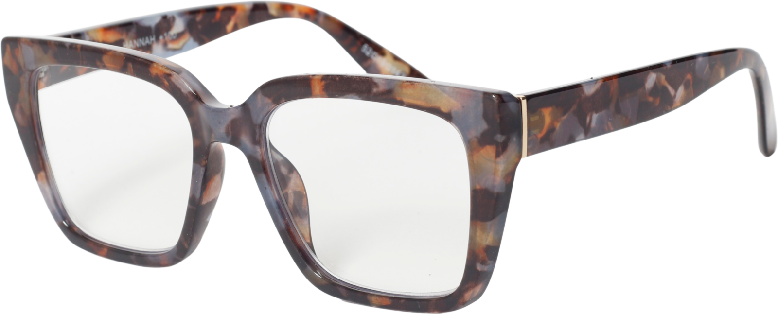 EasiReaderHannahER-141S