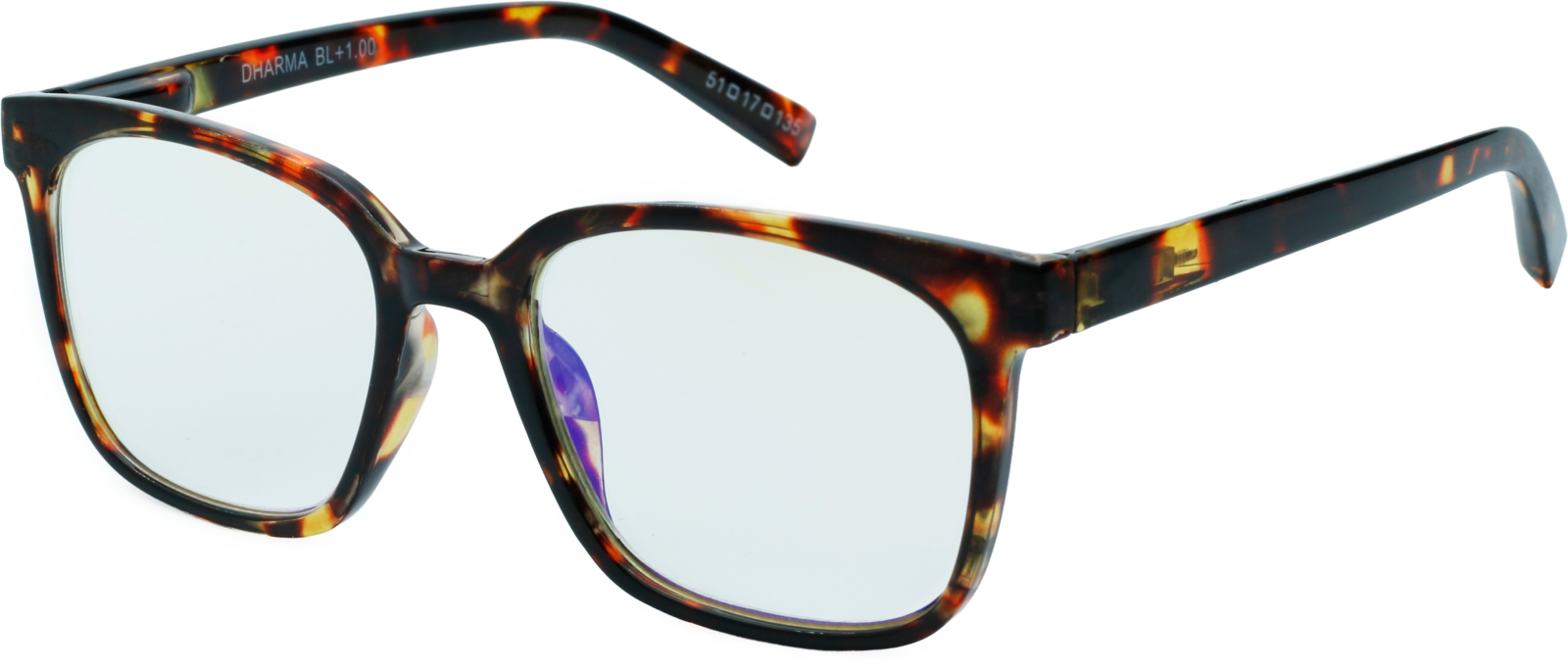 EasiReaderDakota BLER-159BL
