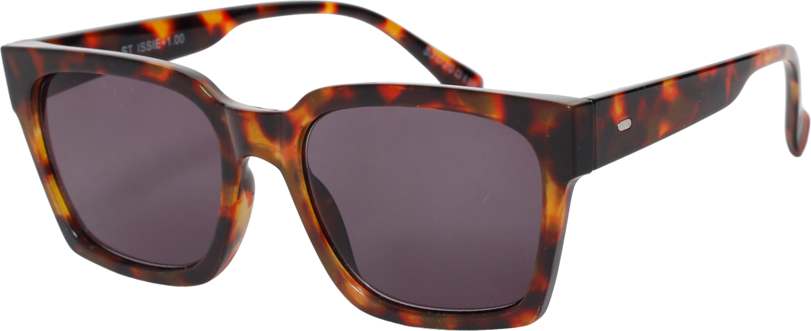 SunReaderSt IssieSR-106S
