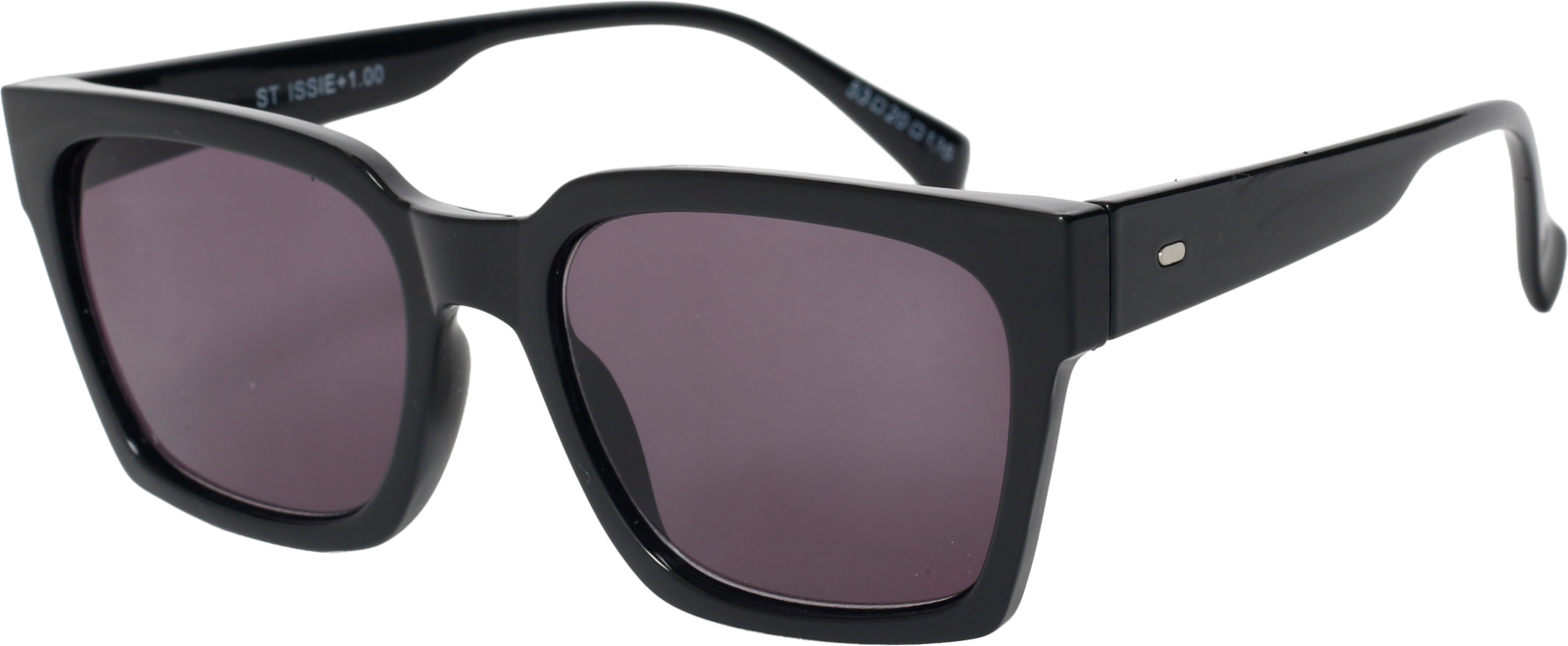 SunReaderSt IssieSR-110S