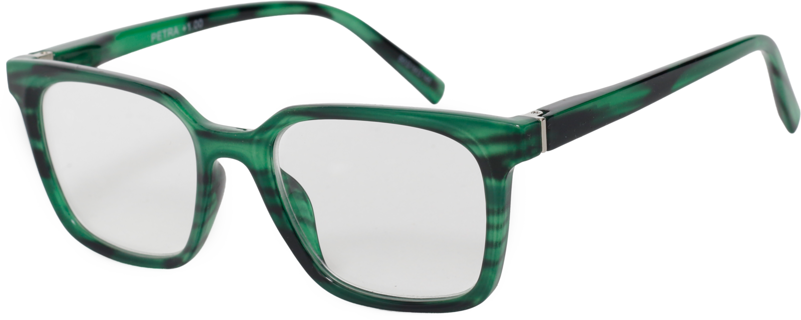EasiReaderPetraER-251S