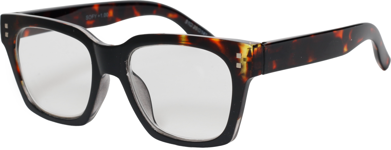 EasiReaderSofyER-258S