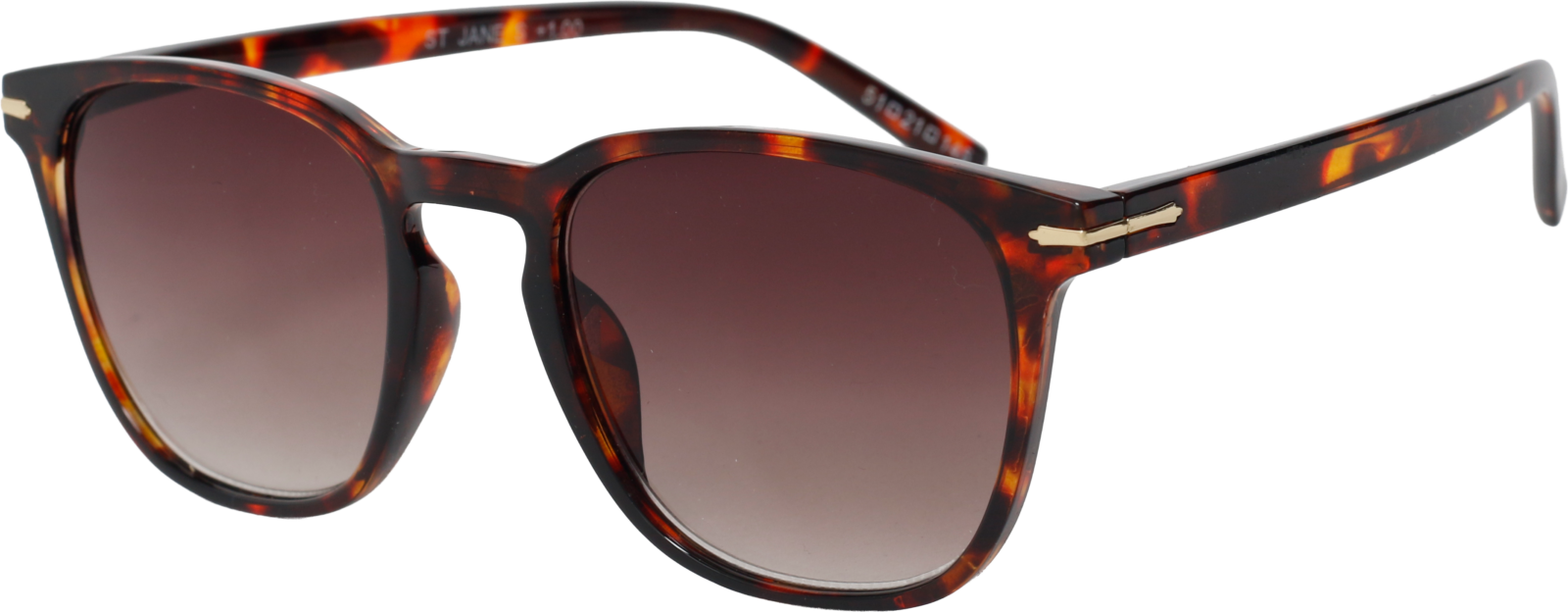 SunReaderSt JaneSR-109S